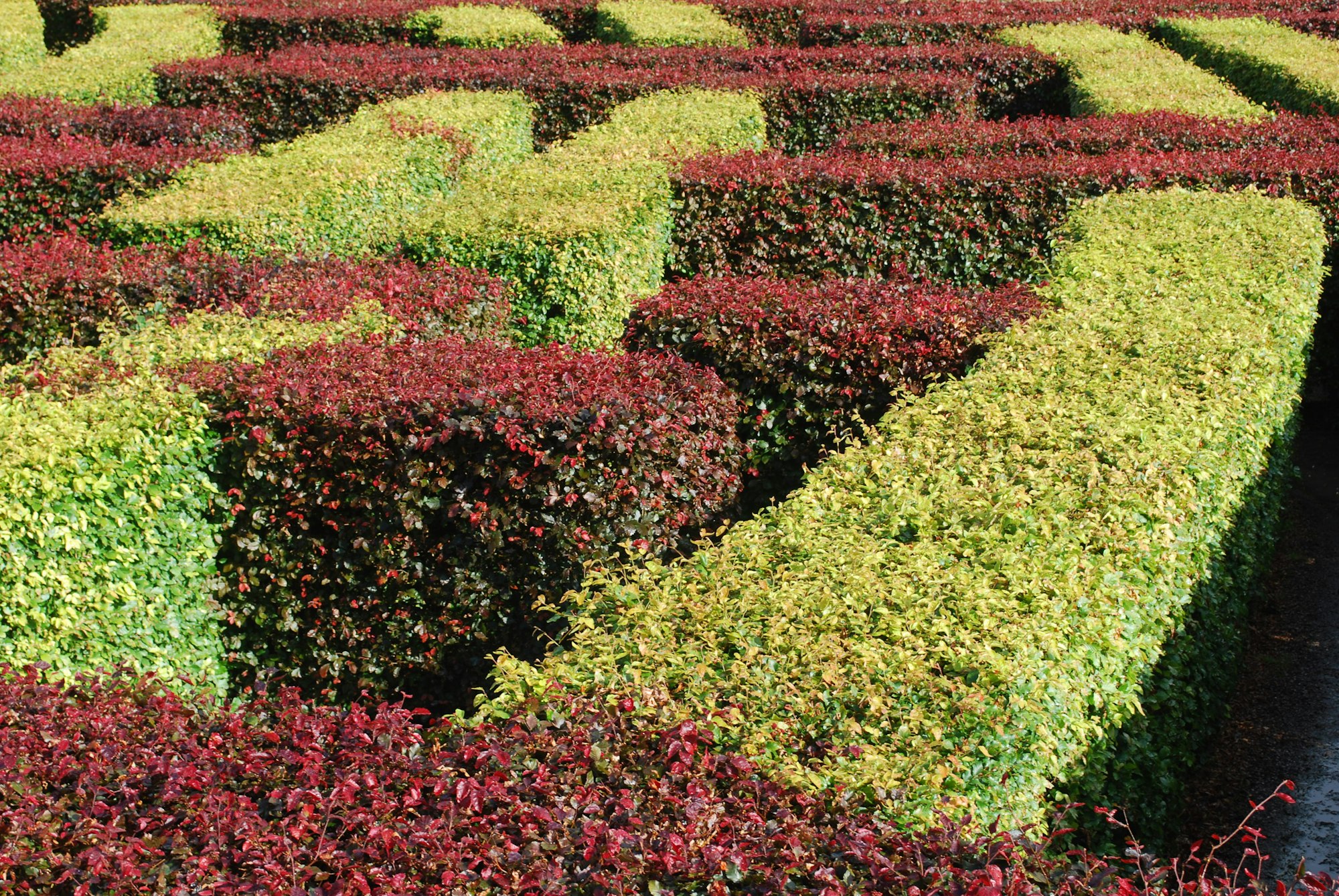 Hedges